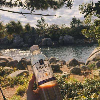 乐鱼综合APP下载